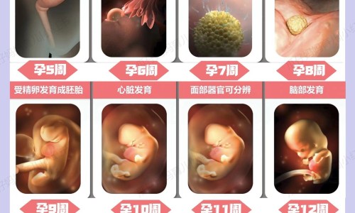 胃肠癌是什么症状、肠胃癌有什么症状开始 -肠胃癌有什么症状网